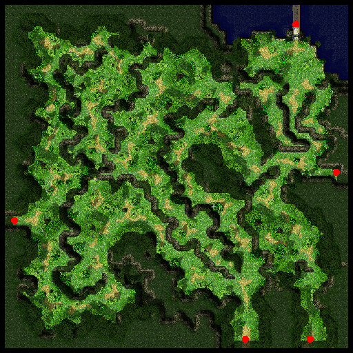 pay_fild01 (Payon Forest 01) (400 x 400) | Zeny rate: 288