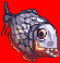 Piranha(2082)