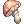 6542 - Star Shape Mushroom (Star Shape Mushroom)